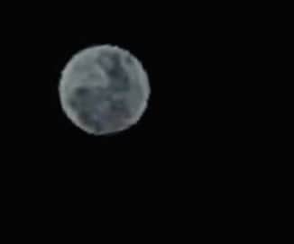高橋里奈さんのインスタグラム写真 - (高橋里奈Instagram)「よーく見て！ 夕方の月にウサギがくっきり… に、見えた。 月を娘とイメージでパクッと飲み込んで お腹に仕舞い込んだ。 #Blue moon」10月31日 23時40分 - rina.takahashi_