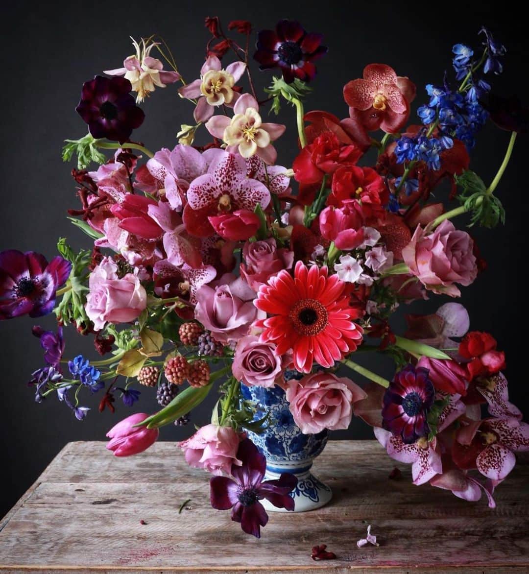 レイチェルロイさんのインスタグラム写真 - (レイチェルロイInstagram)「Sharing some stunning Saturday petals to rest your eyes on 🌷🌸  Follow Dutch Designer @cakeatelieramsterdam for more 💐  #rachelroy  #dutchflowers  #dutchimages」10月31日 23時45分 - rachel_roy