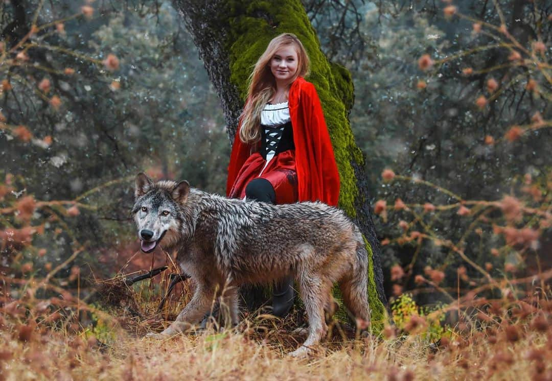 Rylaiさんのインスタグラム写真 - (RylaiInstagram)「“FairyTails” with a twist are what our girls dreams are made of.... . Little Red Riding Hood and her Protection Wolf, Lucan.... Battling the evil in the world together.... combining their gifts, skills, & talents to fight evil and bring harmony, love and light to the world!! The power in the human-canid bond can demolish all barriers and it is our  path forward to harmony within the ecosystem.  . #savethewolfsavetheworld . Model: @jabcecc Ambassador @life_with_mia_nina  Ambassador Animal: #jabcecc Lucan  📸 @anabeldflux  . . Stay tuned to learn about how our FairyTails will heal the world!  . . . . #fairytales #fairytail #littleredridinghood #wolf #wolves #wolfconservation #protectwolves #halloween #halloweencostume #animals #animal #animallovers #wolvesofinstagram #animalwelfare #togetherwecan #photography #photooftheday @animalplanet #wolfoftheweek」10月31日 23時48分 - jabcecc