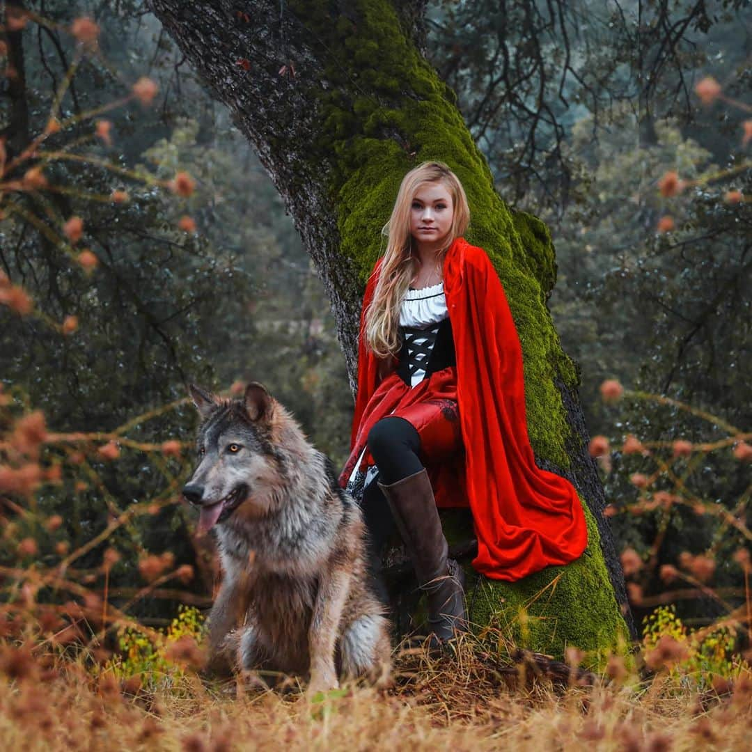 Rylaiさんのインスタグラム写真 - (RylaiInstagram)「“FairyTails” with a twist are what our girls dreams are made of.... . Little Red Riding Hood and her Protection Wolf, Lucan.... Battling the evil in the world together.... combining their gifts, skills, & talents to fight evil and bring harmony, love and light to the world!! The power in the human-canid bond can demolish all barriers and it is our  path forward to harmony within the ecosystem.  . #savethewolfsavetheworld . Model: @jabcecc Ambassador @life_with_mia_nina  Ambassador Animal: #jabcecc Lucan  📸 @anabeldflux  . . Stay tuned to learn about how our FairyTails will heal the world!  . . . . #fairytales #fairytail #littleredridinghood #wolf #wolves #wolfconservation #protectwolves #halloween #halloweencostume #animals #animal #animallovers #wolvesofinstagram #animalwelfare #togetherwecan #photography #photooftheday @animalplanet #wolfoftheweek」10月31日 23時48分 - jabcecc