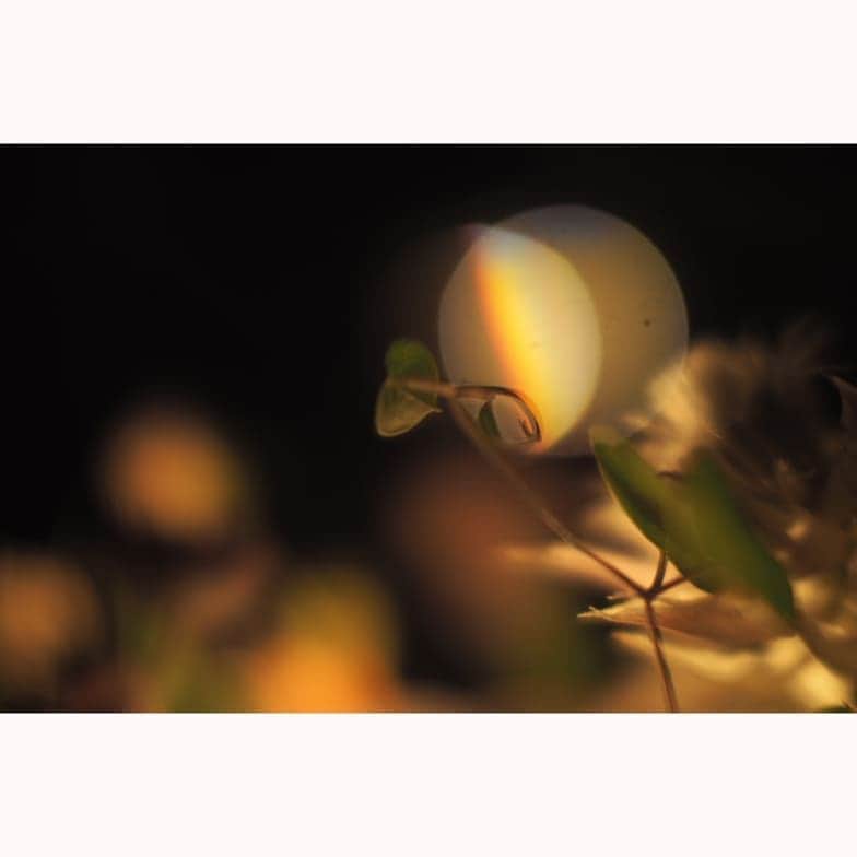 花澄のグルメインスタ