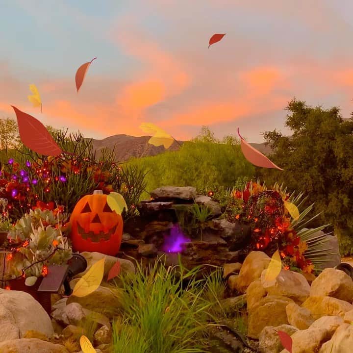 ダブのインスタグラム：「Happy Halloween! Enjoying our stay home spookathon! #halloween2020 #halloween #ojailife #trickortreat #davrainboots #bestboots #fashionblogger #happyfeet」