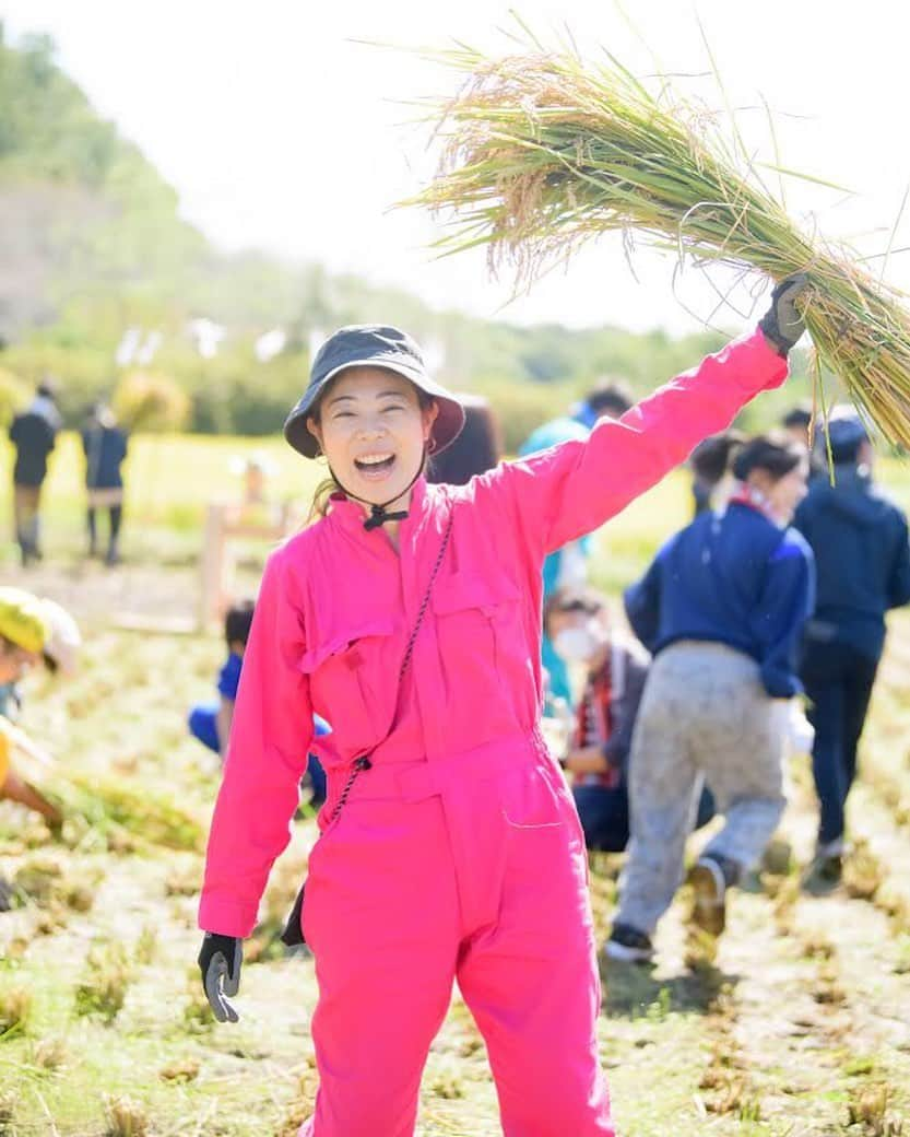 ヨーコさんのインスタグラム写真 - (ヨーコInstagram)「田植えをした田んぼで稲刈り🌾  見て、このうれしそうな顔🥰  新米はごちそうだね🍚✨  ご飯のおかず、何が好き？？  冷凍してある山椒の実でちりめん山椒作ろうかな🤤  @hitoandhito #カメラマンさんありがとう #カメラマン #松田さん #稲刈り祭 #新宿調理師専門学校 #新調PR大使 #PR大使 #ヨーコ #稲刈り #田んぼ #田んぼガール #埼玉 #さぎ山 #農体験授業 #農体験 #つなぎコーデ #つなぎ女子  #🌾 #新米 #収穫 #実りの秋 #日本の秋 #japanesegirl #smile #japan #autumn」11月1日 11時01分 - y0k0_1108