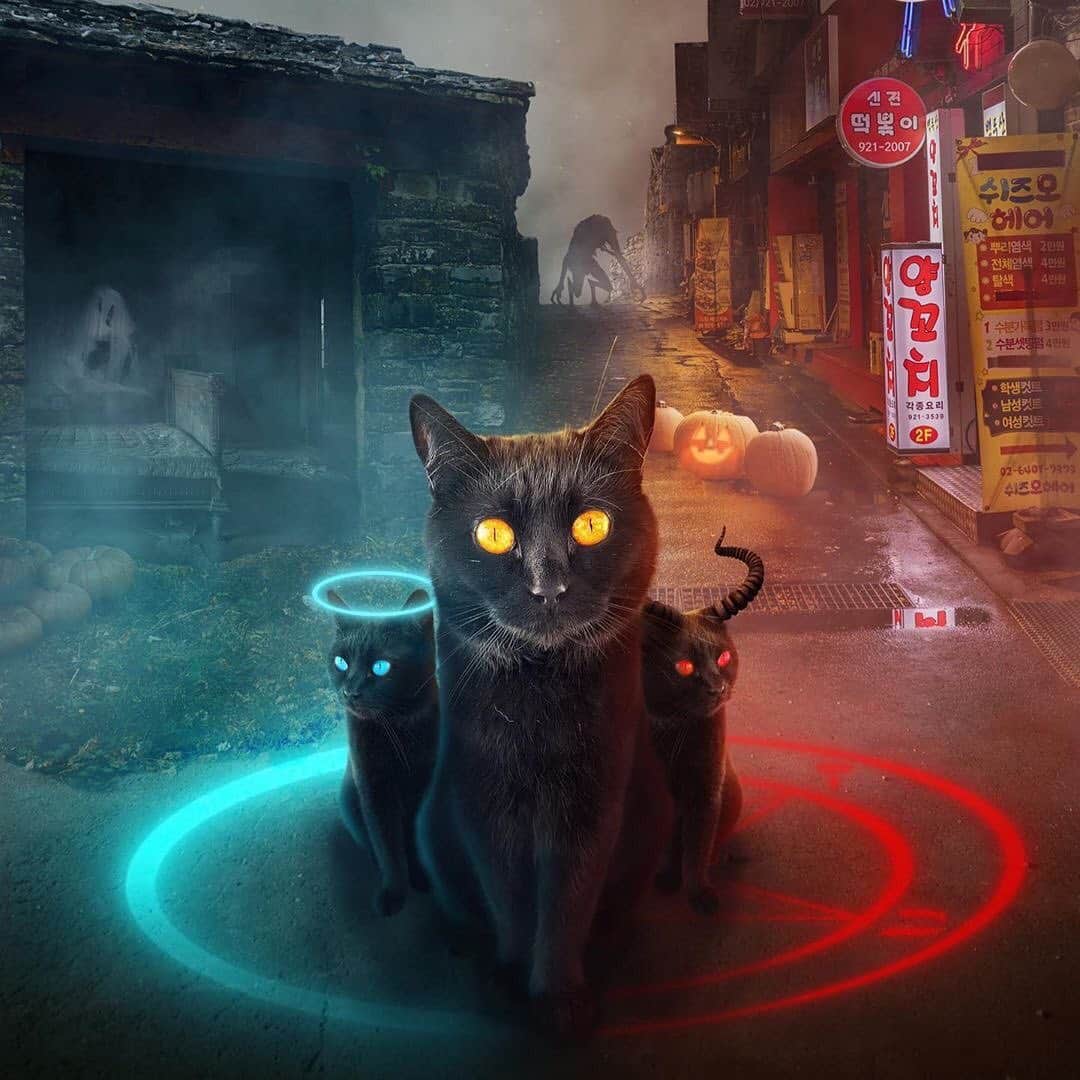 The Cats Of Instagramのインスタグラム：「#COIHalloween 🎃👻😈👽 #Repost • @luna_blackbeauty Demon to some. Angel to others.🖤   ⠀⠀⠀⠀⠀⠀⠀⠀⠀⠀⠀⠀   ⠀⠀⠀⠀⠀⠀⠀⠀⠀⠀⠀⠀ Happy Halloween! 👻🖤   ⠀⠀⠀⠀⠀⠀⠀⠀⠀⠀⠀⠀   ⠀⠀⠀⠀⠀⠀⠀⠀⠀⠀⠀⠀   ⠀⠀⠀⠀⠀⠀⠀⠀⠀⠀⠀⠀ ➡️ Amazing edit made by @youreditzzone  #Luna_BlackBeauty」