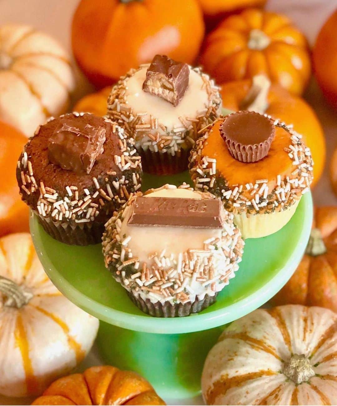 Elizabeth Chambers Hammerのインスタグラム：「HAPPY HALLOWEEN! Dallas and SA, pop by the nest for all of your tricks, treats and sweets. 🎃🧁🍫@birdbakery」