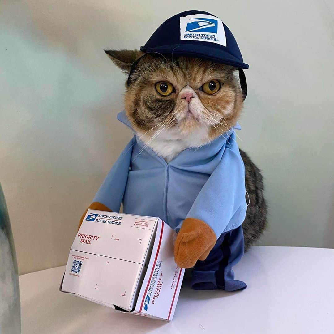 Tinaのインスタグラム：「A mailwoman’s job is never done! 📬Happy Halloween! 🎃」
