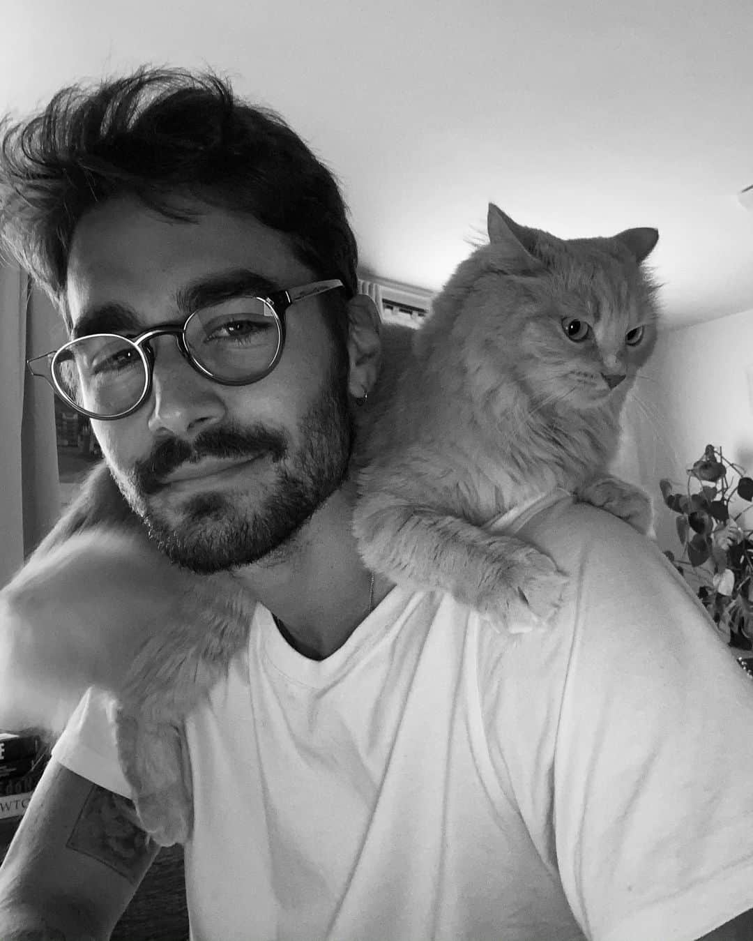 NICOLAS SIMOESのインスタグラム：「First day confined & she is already mad at me 😂😻」