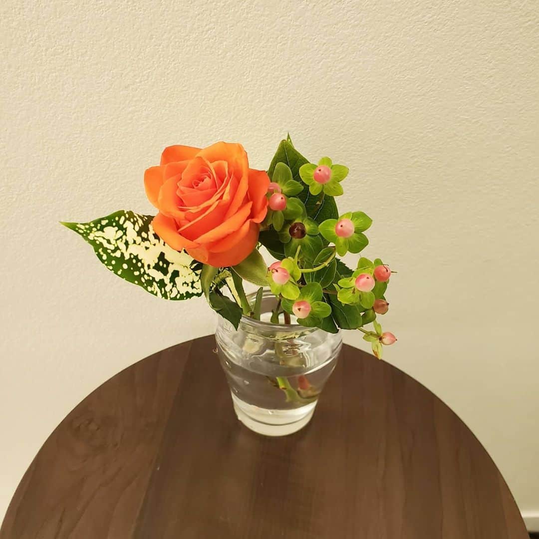 Naokoのインスタグラム：「『フラワーハロウィンへの招待状』 企画に参加しています  @bloomeelife さんより素敵な花束💐が届きました🤗  今回も、ハロウィンパッケージ🎃で届きました❣かわゆい😊  クーポンコードあります！ 「HLWN86」→登録時にクーポンコードをご利用いただくと、初回のお花と送料が０円になります❣ 有効期限: 2020/11/30 23:59  #bloomeelife #ハロウィン飾り#フラワーハロウィン#お花の定期便#かわゆい#ポストに届くお花」