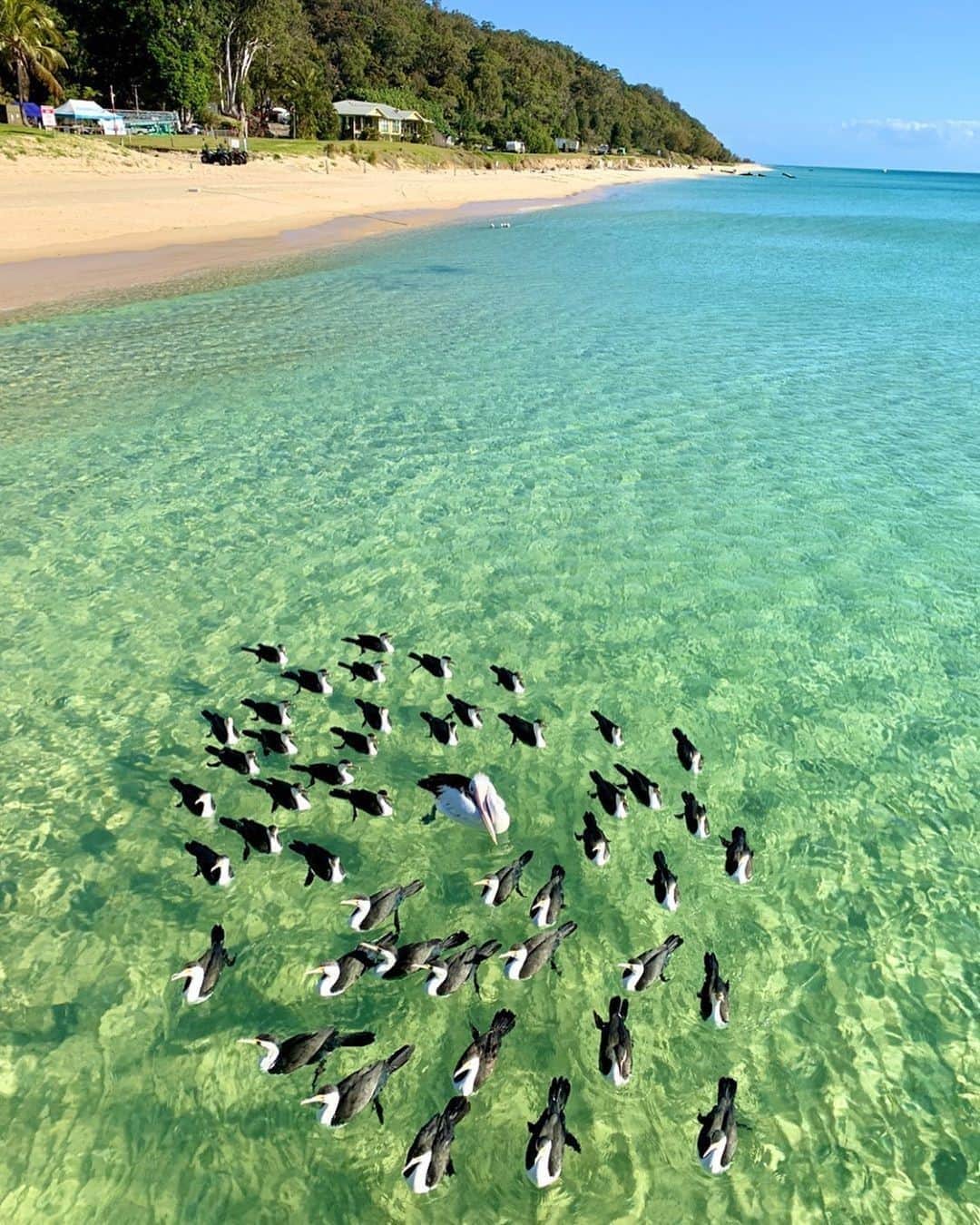 Australiaのインスタグラム