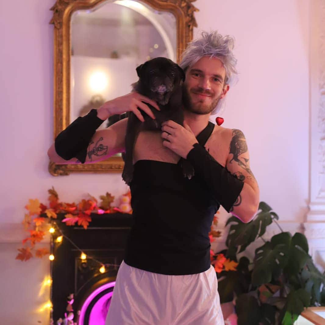 のインスタグラム：「Happy Halloween from a very scuffed Polnareff and Iggy!」