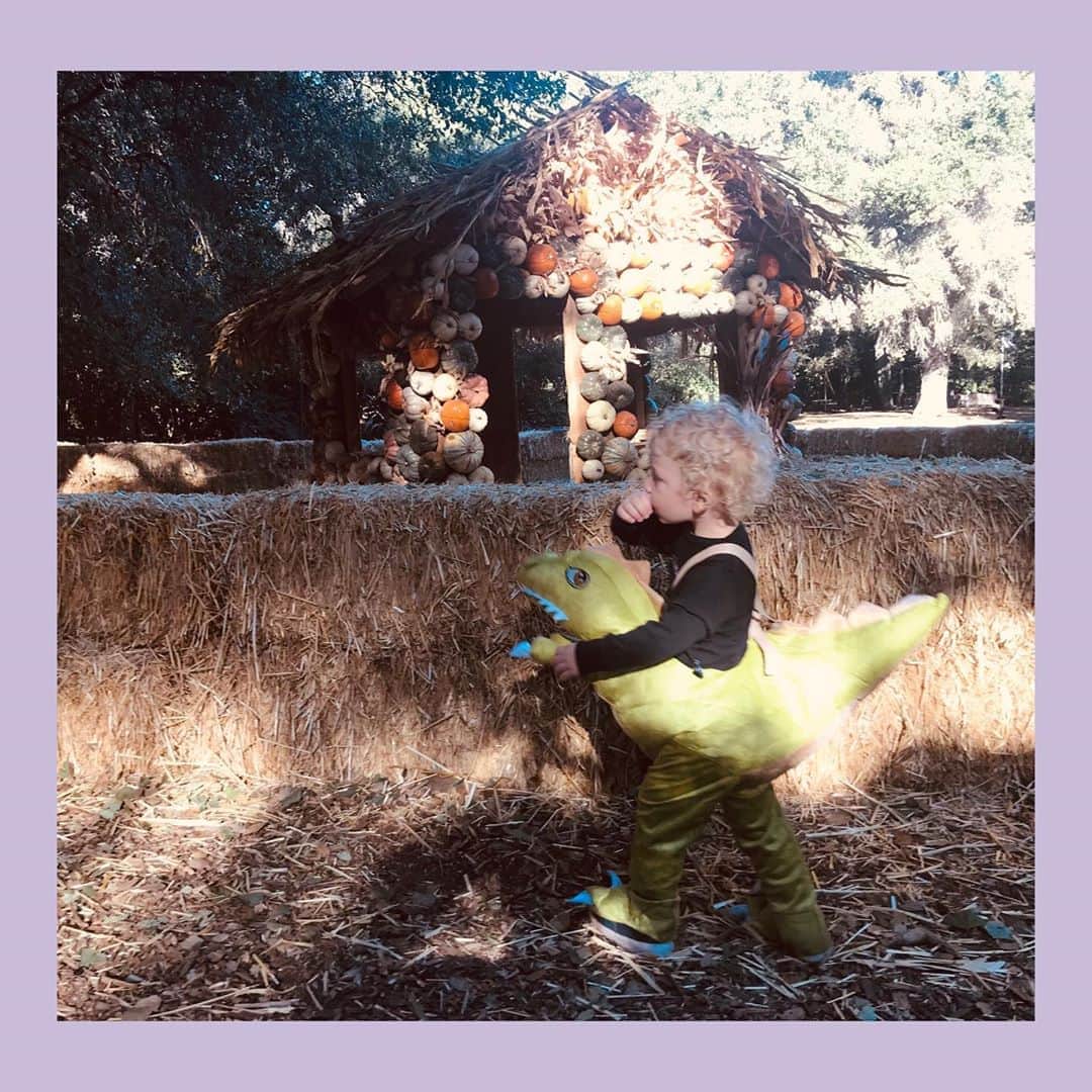 ブリアンナ・ブラウンのインスタグラム：「Happy Halloween!  Grateful for beautiful, creative, safe sanctuaries in nature to share with my little dinosaur. 💜🦖  @descansogardens」