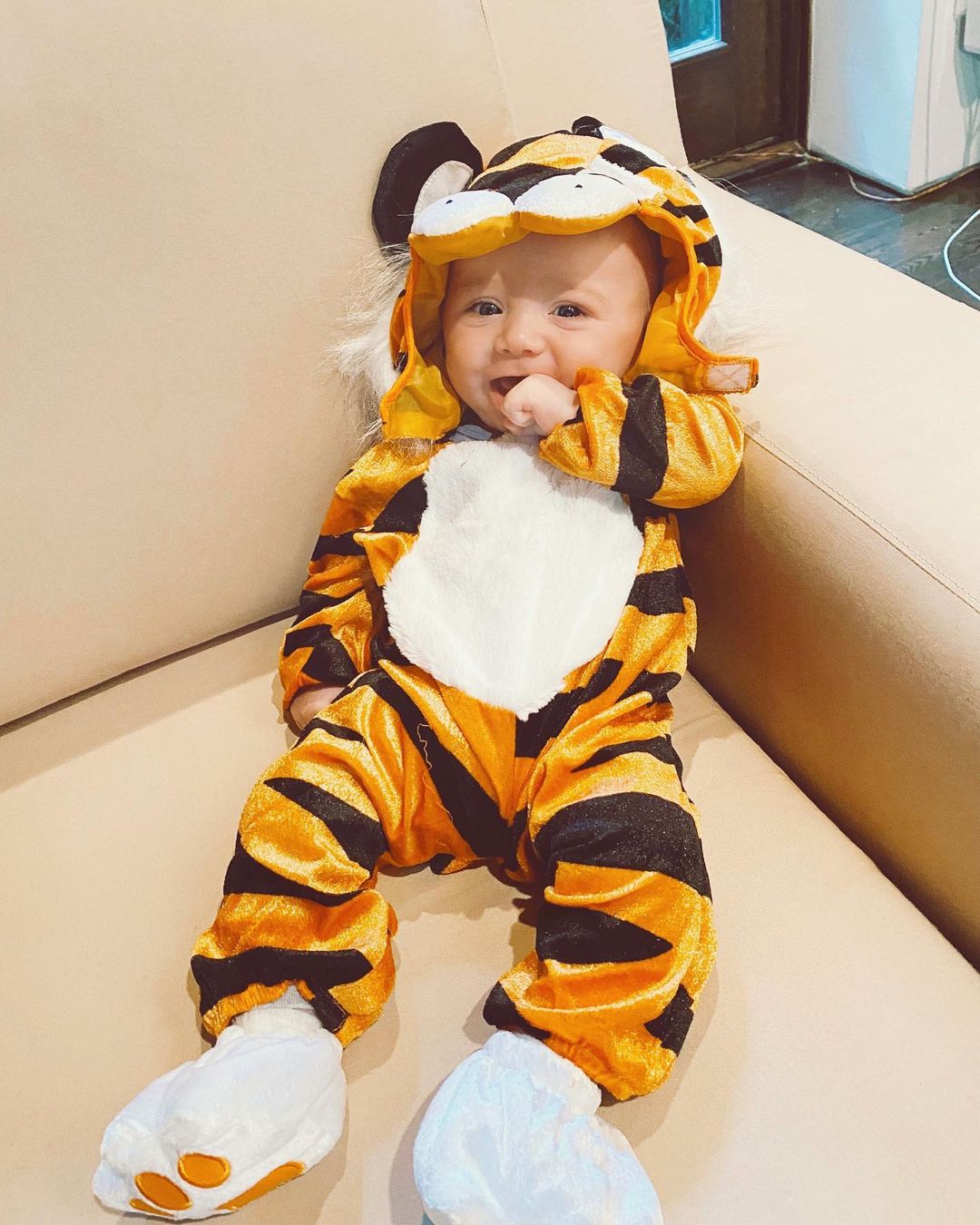 のインスタグラム：「ok i don’t hate halloween anymore! 🐅🥰🎃」