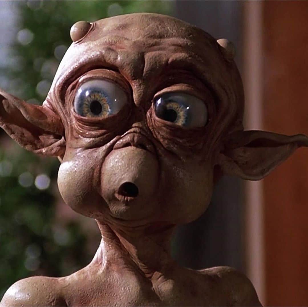 アレックス・ブノワのインスタグラム：「Halloween is for obscure ET rip-offs getting turned into Jack-o-lanterns #MacAndMe #Pumpkin #Jackolantern」