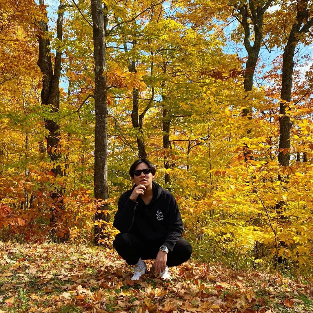 小出恵介さんのインスタグラム写真 - (小出恵介Instagram)「Standing in the forest and nobody could hear you🌹🍖🎡🍁🐚」11月1日 5時22分 - kaykoide