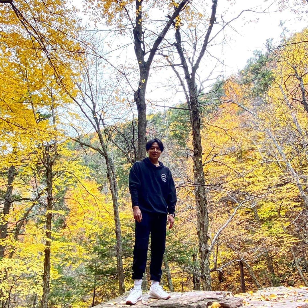 小出恵介さんのインスタグラム写真 - (小出恵介Instagram)「Standing in the forest and nobody could hear you🌹🍖🎡🍁🐚」11月1日 5時22分 - kaykoide