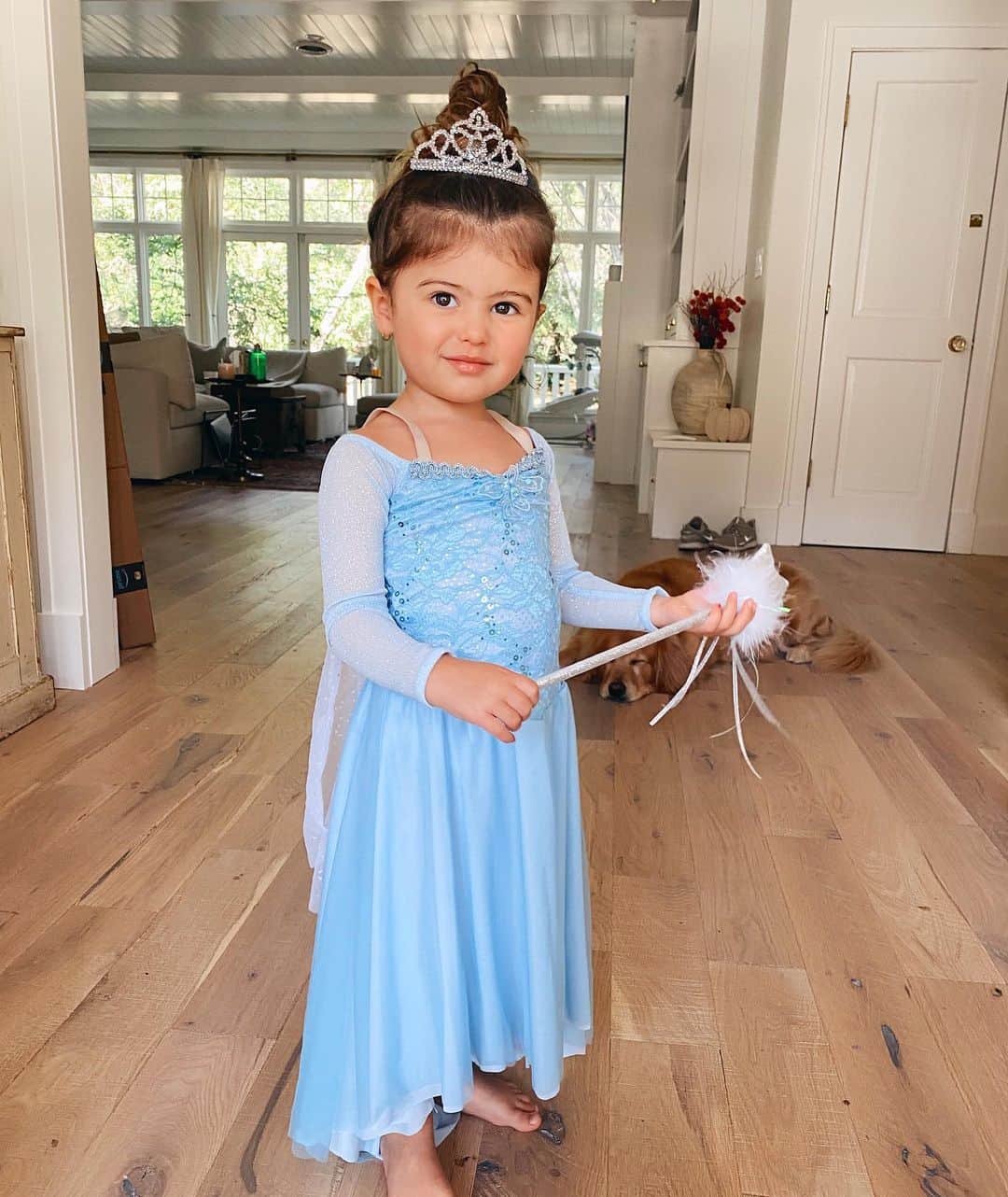 Sazan Hendrixさんのインスタグラム写真 - (Sazan HendrixInstagram)「My sweet and sassy princess 🎃 Nana is coming to pick her up soon to take her over to her cousins house for Halloween festivities! ❄️ So sad I’m too pregnant to join the party but mama is trynna channel Sweetie in the back on the couch tonight🤰🏻🤣 #happyhalloween #shesready #elsa #frozen」11月1日 5時45分 - sazan