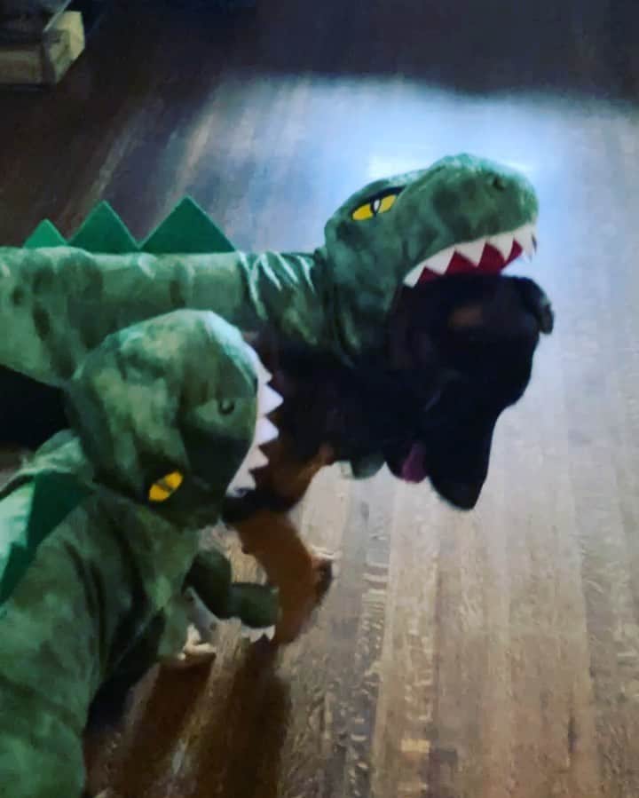 ラナ・デル・レイのインスタグラム：「Dino Dogs @codyjay  By the way they are more giant than they look Plz no trespassing on Halloween They will eat u」