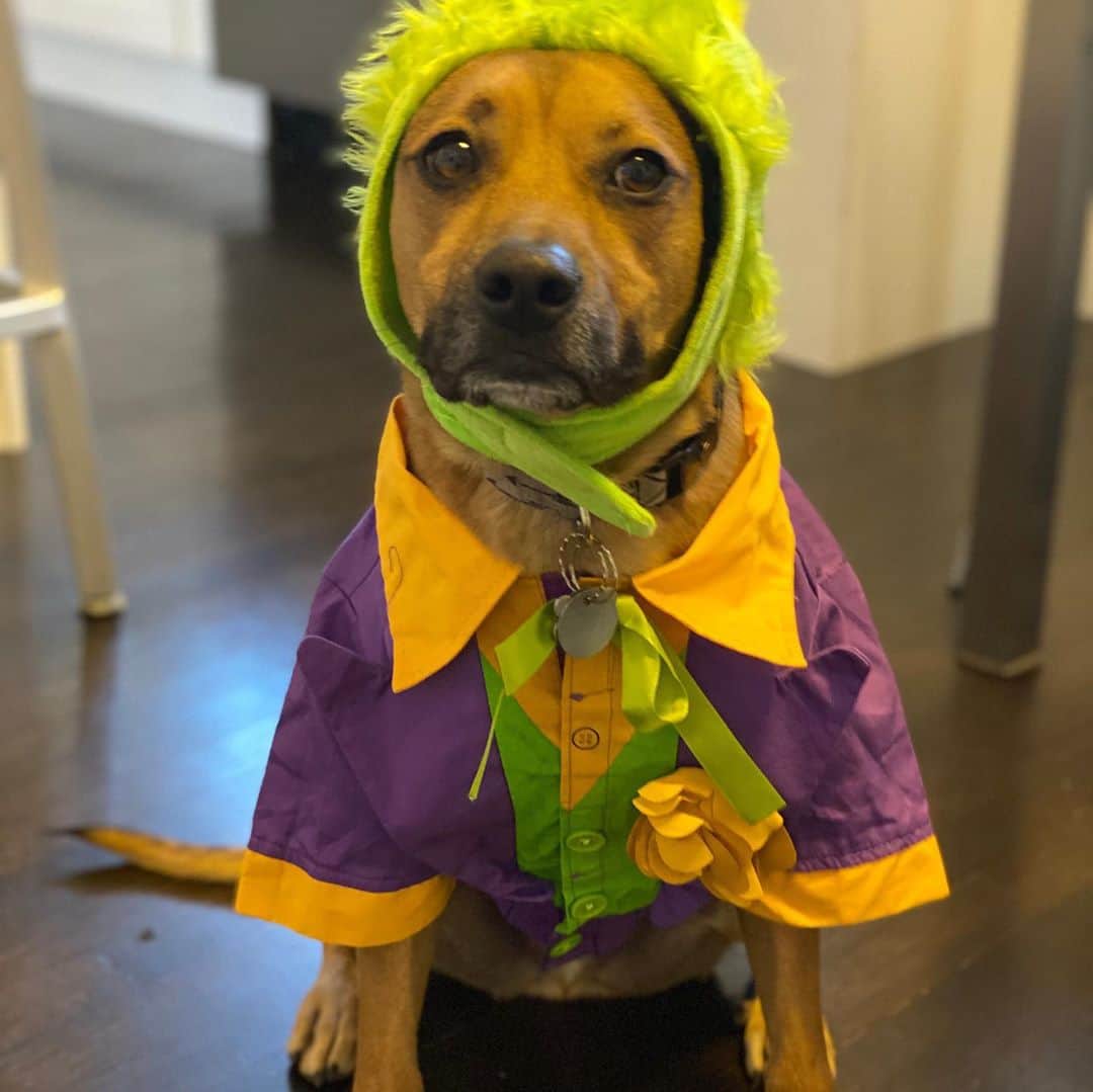 ロッチェル・エイツのインスタグラム：「Happy Halloween! Stay Safe! 🎃🎃」