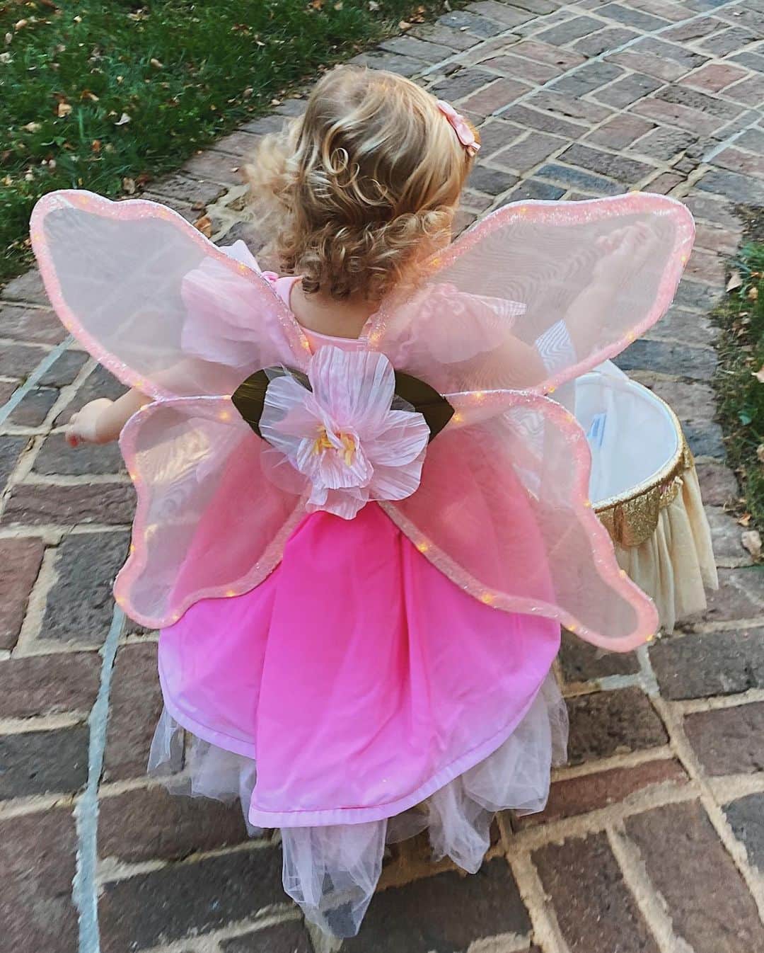 ライアン・シークレストさんのインスタグラム写真 - (ライアン・シークレストInstagram)「Happy Halloween from my niece, Flora the Flower Fairy!  (📸: @mmseacrest)」11月1日 7時09分 - ryanseacrest