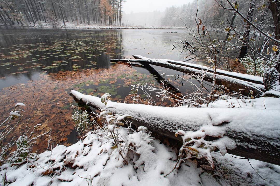 Tim Lamanさんのインスタグラム写真 - (Tim LamanInstagram)「Photo by @TimLaman.  Day 2 of 3 landscapes from the same spot – Oct 30.  On this day there was a snowstorm, and I made this image as wet snow rapidly coated everything.  What a difference a day makes!  Compare with the other two photos in my feed taken at the same spot. - Bye the way, today is the last day to join my newsletter and be entered for the book giveaway “Hornbills of the World”. Sign up at link in bio. - #NewEngland #fall #autumn #Massachusetts #TL_WildlifePhotoTips」11月1日 7時05分 - timlaman