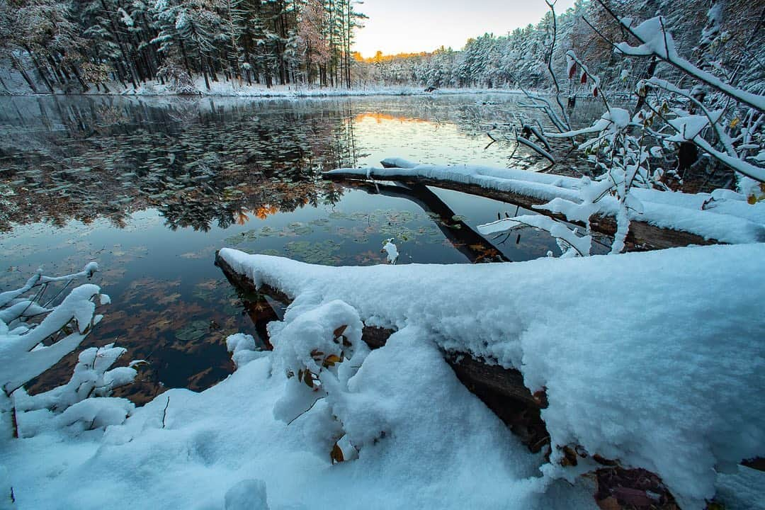 Tim Lamanさんのインスタグラム写真 - (Tim LamanInstagram)「Photo by @TimLaman.  Day 3 of 3 landscapes from the same spot – Oct 31.  After yesterday’s snowstorm, this morning broke clear with snow cloaking everything.  I made this image just as the rising sun hit the treetops.  It wasn’t cold enough yet for the pond to freeze, so the reflections were beautiful.  Have you ever photographed the same place at different times of the year, or under different weather like this?  It’s a fun way to experience the variety that nature throws at us. - Bye the way, today is the last day to join my newsletter and be entered for the book giveaway “Hornbills of the World”. Sign up at link in bio. - #NewEngland #fall #autumn #Massachusetts #TL_WildlifePhotoTips」11月1日 7時05分 - timlaman