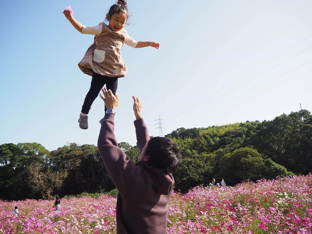 北﨑千香子のインスタグラム：「慈眼寺公園のコスモス🌸 ＊ 高い高いが高すぎて… もはや、娘が空から降ってきた構図👼 ＊ 息子はスーパーマンスタイル🦸‍♂️じゅわっち！ ＊ 昨日来てた人も今がもう満開かなぁー？と話してましたがまだ少し蕾もありました🌸✨ ＊ #慈眼寺公園 #コスモス #鹿児島おでかけ #鹿児島 #鹿児島ママ #お花のある暮らし #ママリ  #こどものいる暮らし #コスモス #コスモス畑」