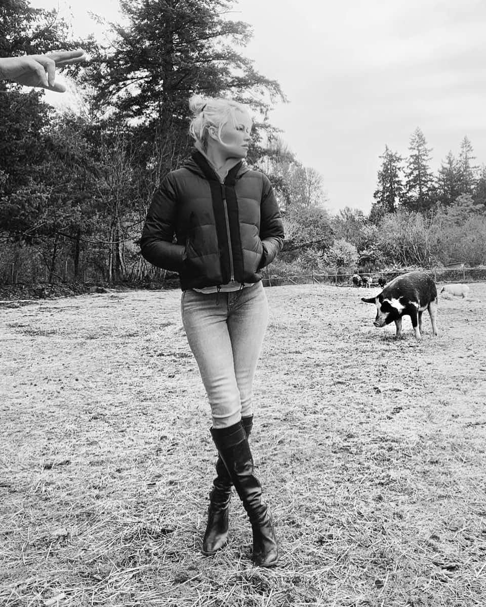パメラ・アンダーソンのインスタグラム：「@rastasanctuary defending vulnerable farm animals.  Happy Day  Pumpkin Smash ❤️」