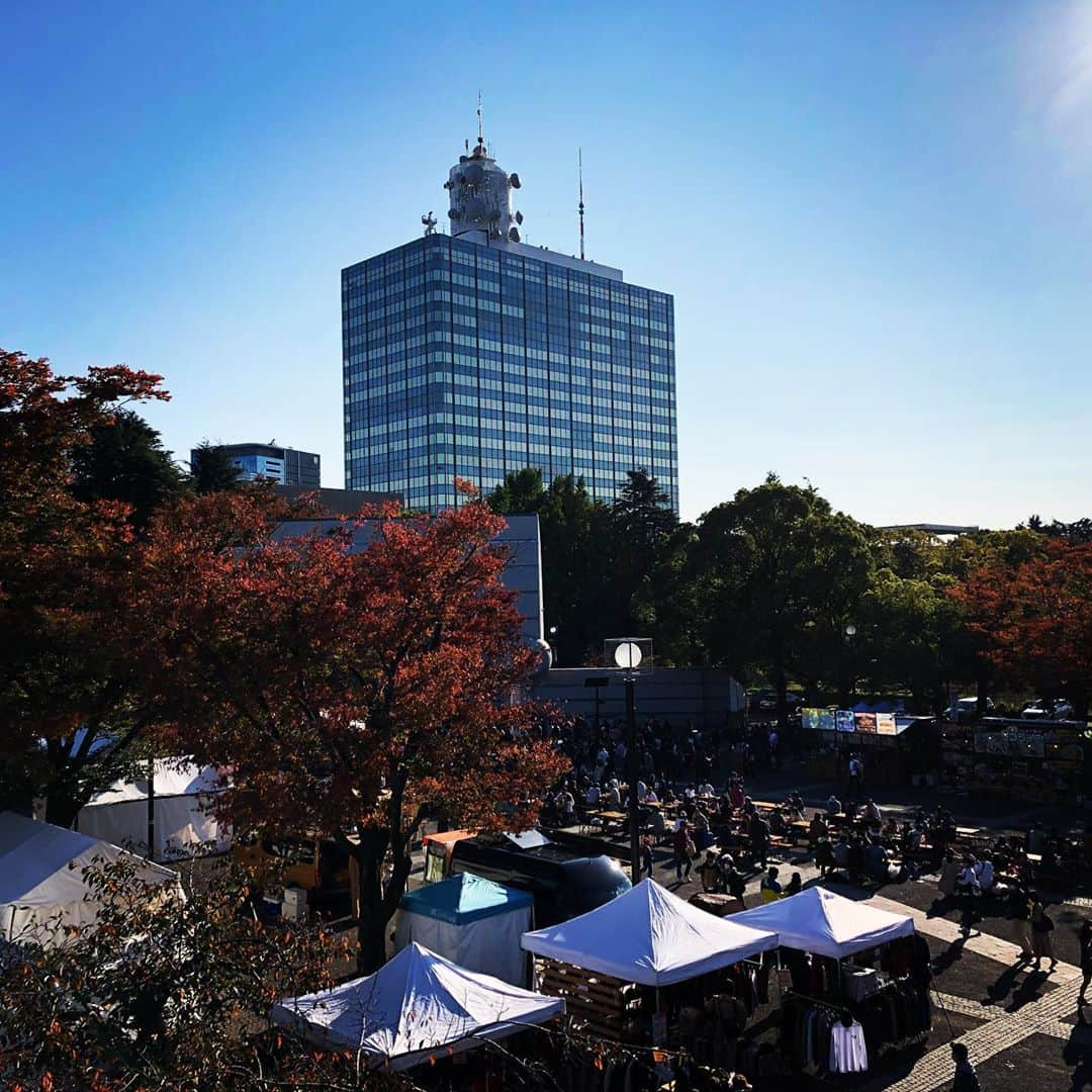 飯沼誠司さんのインスタグラム写真 - (飯沼誠司Instagram)「Looking for acorns and... Participated in an event 『Earth Day』. #acorns #earthday2020  #event #date #with #daughter」11月1日 9時13分 - seiji_iinuma