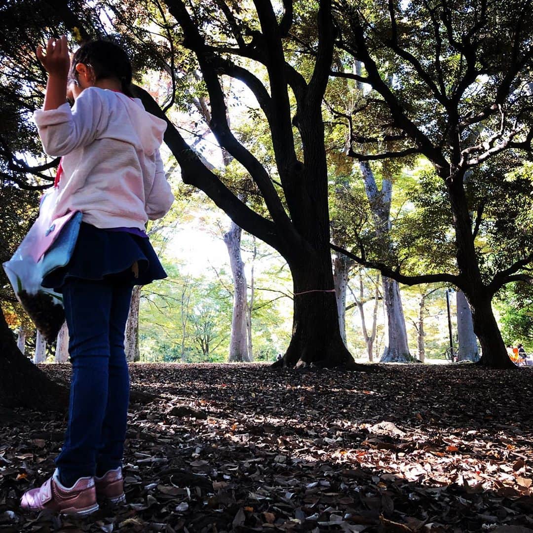 飯沼誠司さんのインスタグラム写真 - (飯沼誠司Instagram)「Looking for acorns and... Participated in an event 『Earth Day』. #acorns #earthday2020  #event #date #with #daughter」11月1日 9時13分 - seiji_iinuma