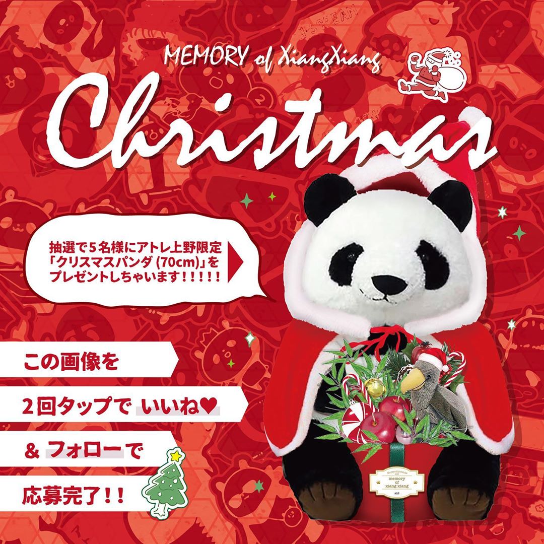 アトレ上野（atre ueno）さんのインスタグラム写真 - (アトレ上野（atre ueno）Instagram)「アトレ上野では、本日11月1日（日）より「メモリーオブシャンシャンクリスマス」をテーマに、シャンシャンをモチーフにした全長約7mのデジタルツリーを含む心温まるクリスマス装飾を展開しております🎅🎄⭐️  それらを記念してアトレ上野オリジナルのパンダぬいぐるみ（約70cm）を抽選で5名様にプレゼントいたします。たくさんのご応募をお待ちしております🐼🎁💓  【応募方法】～12月25日（金） ① アトレ上野公式Instagramをフォロー ② この投稿にいいねをする🐼💓 ↑この2点で応募完了！ ※応募期間中にフォローを解除した場合、抽選の対象外になります。  #上野 #アトレ上野 #アトレ #atre #atreueno #パンダ #上野パンダ #上野散策 #熊猫 #東京観光 #PANDA #🐼 #ueno #tokyotour #ぬい撮り #キャンペーン #プレゼントキャンペーン #インスタグラムキャンペーン #キャンペーン開催中 #懸賞 #パンダ好き #パンダマニア #パンダグッズ #上野デート #上野動物園 #uenopark #uenozoo #pandalover#シャンシャン #メモリーオブシャンシャン」11月1日 9時28分 - atre.ueno