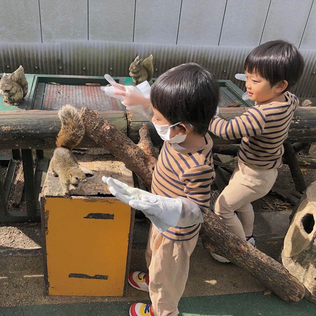 橋田昌実のインスタグラム：「11月1日﻿ ﻿ ﻿ リスにごはんあげたよ👦🏻👦🏻❤︎﻿ ﻿ 服とリスと木が馴染みすぎてる🐿w﻿ ﻿  ﻿ #三兄弟 #リス村 #🐿」