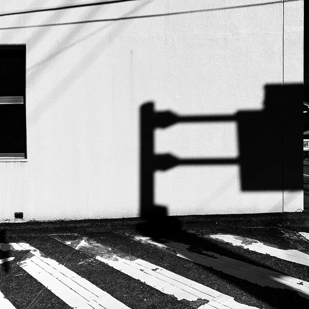 naotakeのインスタグラム：「標識 - A traffic sign / iPhone XR & Snapseed, 20201102 . . 自分には珍しく展覧会図録を（通販で）購入。届くのが楽しみだ。 . . #spicollective #royalsnappingartists #infamous_family #rsa_main #infinity_photo_cult #2_fineart #jp_gallery_member #jp_gallery_bnw #trb_bnw #wp_bnw  #bnw_life #bnwlife_member #bnw_life_shots #bnw_captures #world_bnw #top_bnw #team_jp_ #team_jp_モノクロ #ig_energy_bw #ig_nihon #streetphotographybnw #igersjp #blackandwhite #bnw #bnwphoto #monochrome #bw #bnwphotography #ShotOniPhone #shotoniphoneXR」