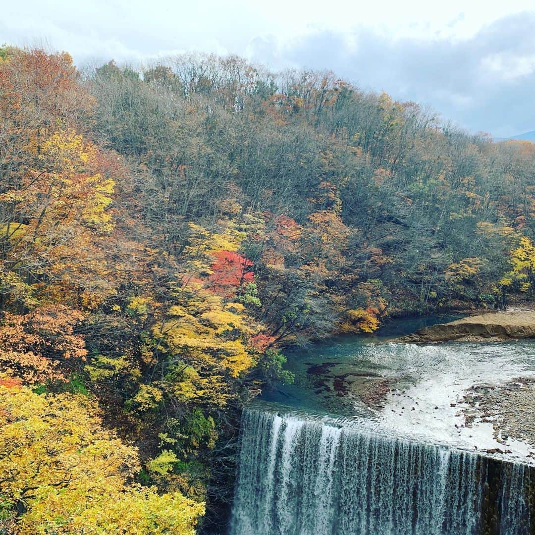 大隅智子さんのインスタグラム写真 - (大隅智子Instagram)「八幡平の「森の大橋」。紅葉のピークは過ぎていましたが、晩秋の様子を楽しめました！」11月1日 19時29分 - tomokotenki