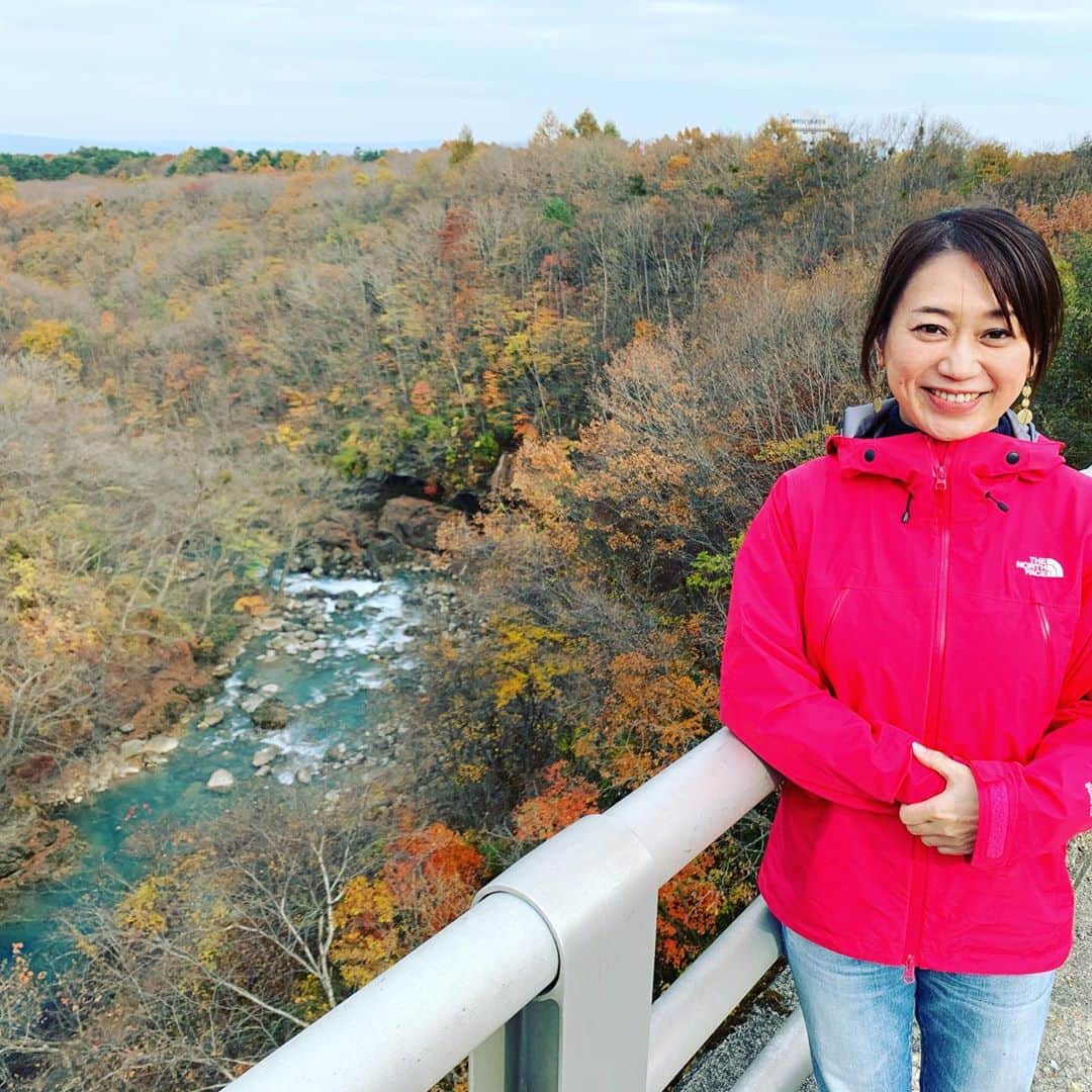 大隅智子さんのインスタグラム写真 - (大隅智子Instagram)「八幡平の「森の大橋」。紅葉のピークは過ぎていましたが、晩秋の様子を楽しめました！」11月1日 19時29分 - tomokotenki