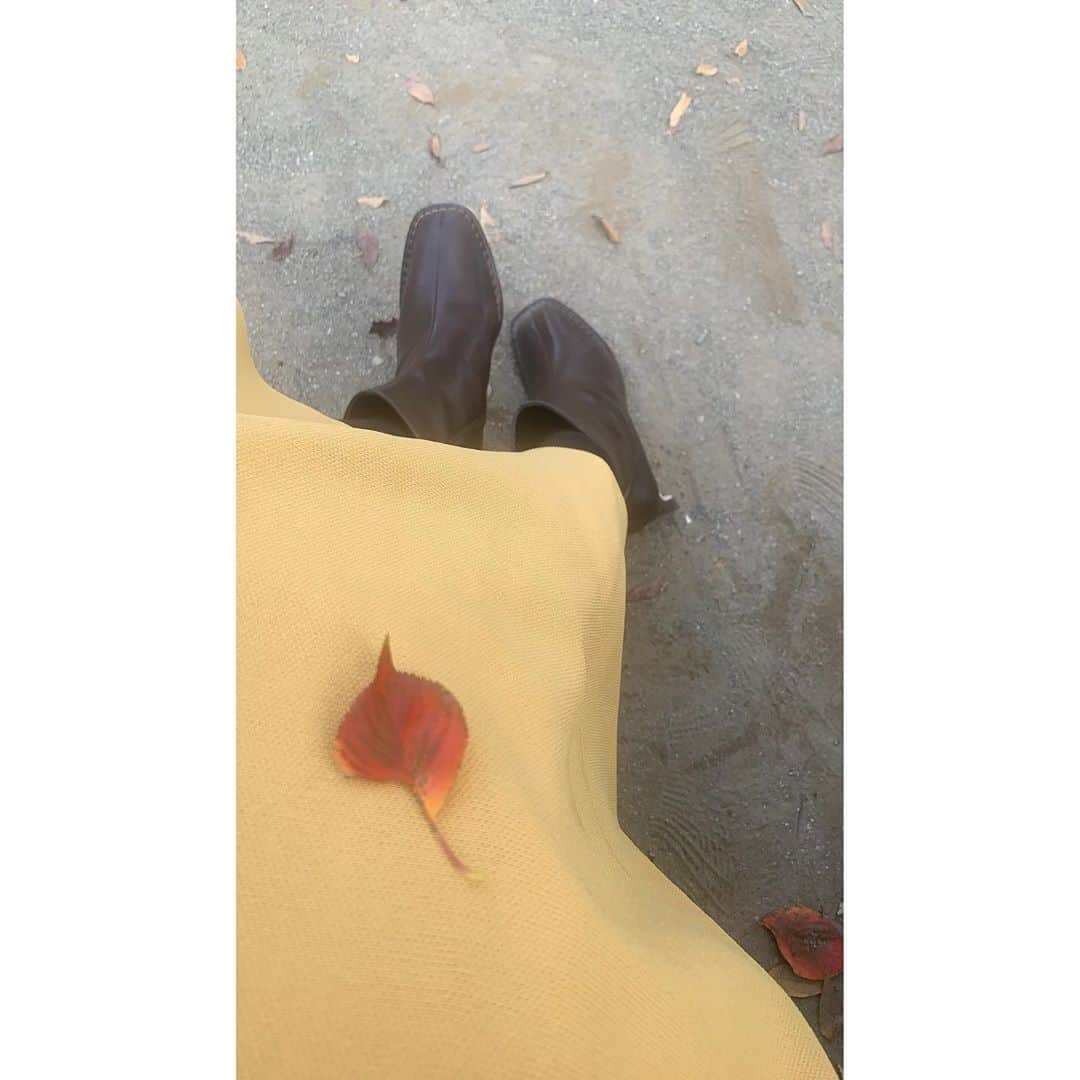 乙黒えりのインスタグラム：「秋だから  黄色💛✖️茶色🤎 座ってたら偶然枯れ葉が落ちてきたよ🍂  #スカート　@stunninglure  #ブーティ　@kobe_lettuce  #秋コーデ#ママコーデ#ママファッション #プチプラ#スクエアブーツ」