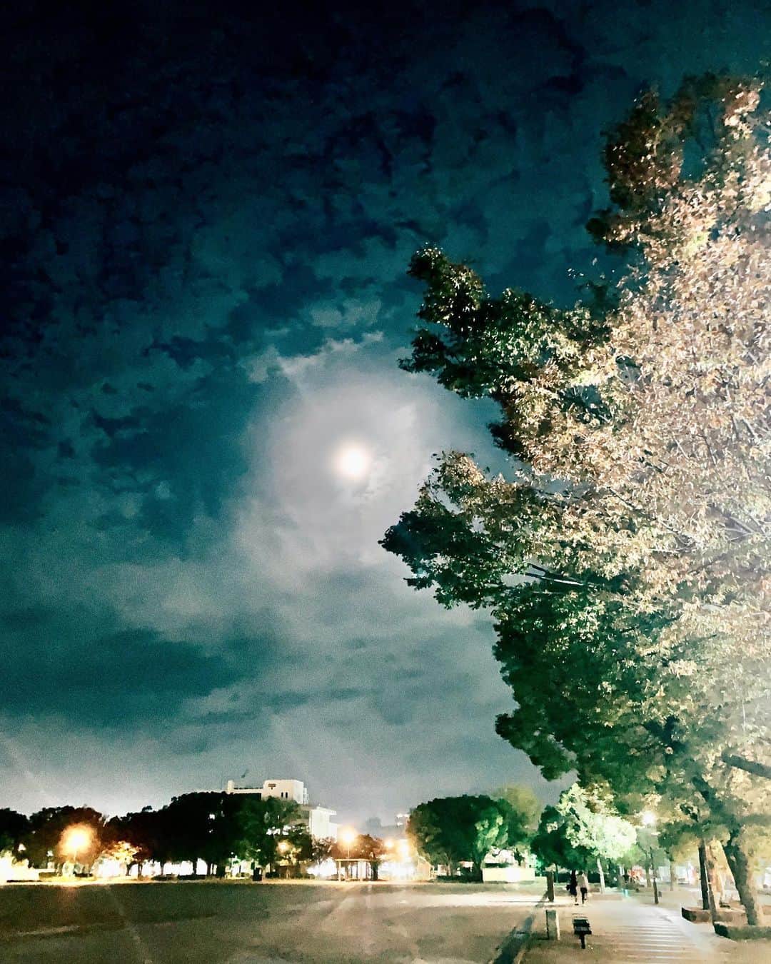 奇妙礼太郎さんのインスタグラム写真 - (奇妙礼太郎Instagram)「#姫路 #同じ月を見ている」11月1日 20時05分 - reitaro_strange
