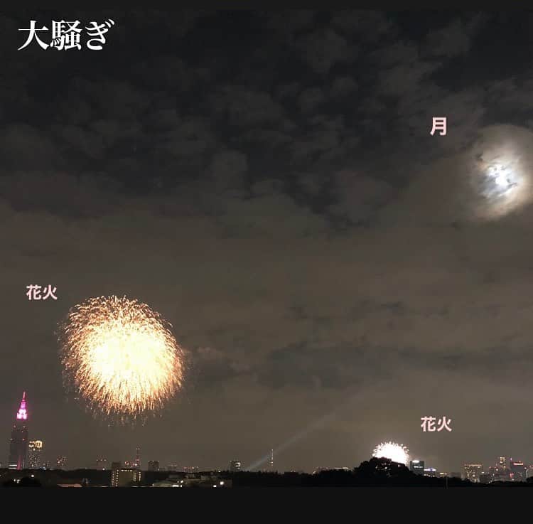 のインスタグラム：「さっき、花火があがったよ。うれしいね。 #花火」
