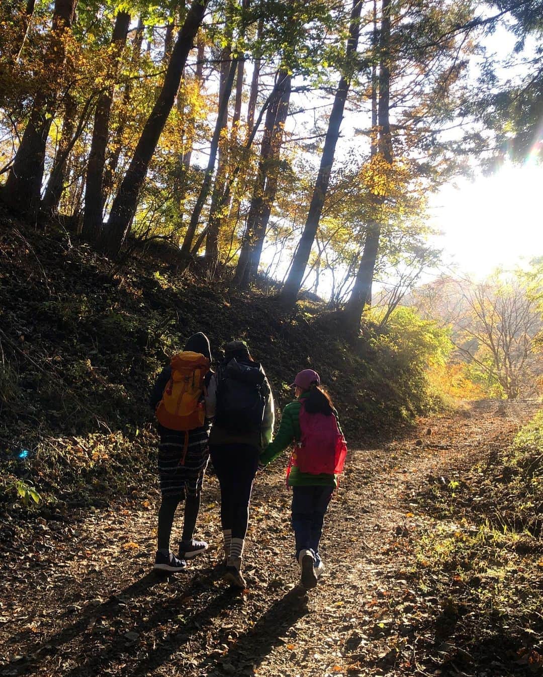 AYUMIさんのインスタグラム写真 - (AYUMIInstagram)「秋色の山へ⛰🍁 家族登山をはじめて7年目になりました  子どもの成長と共に、家族みんなで 行ける機会もへってきたからこそ なお愛おしい時間です  それにしても、ふだんサッカーをしている息子 山でも走れる体力がうらやましい  #家族登山 #登山日和 #AYUMIアウトドア #AYUMI登山」11月1日 20時10分 - ayumiayunco