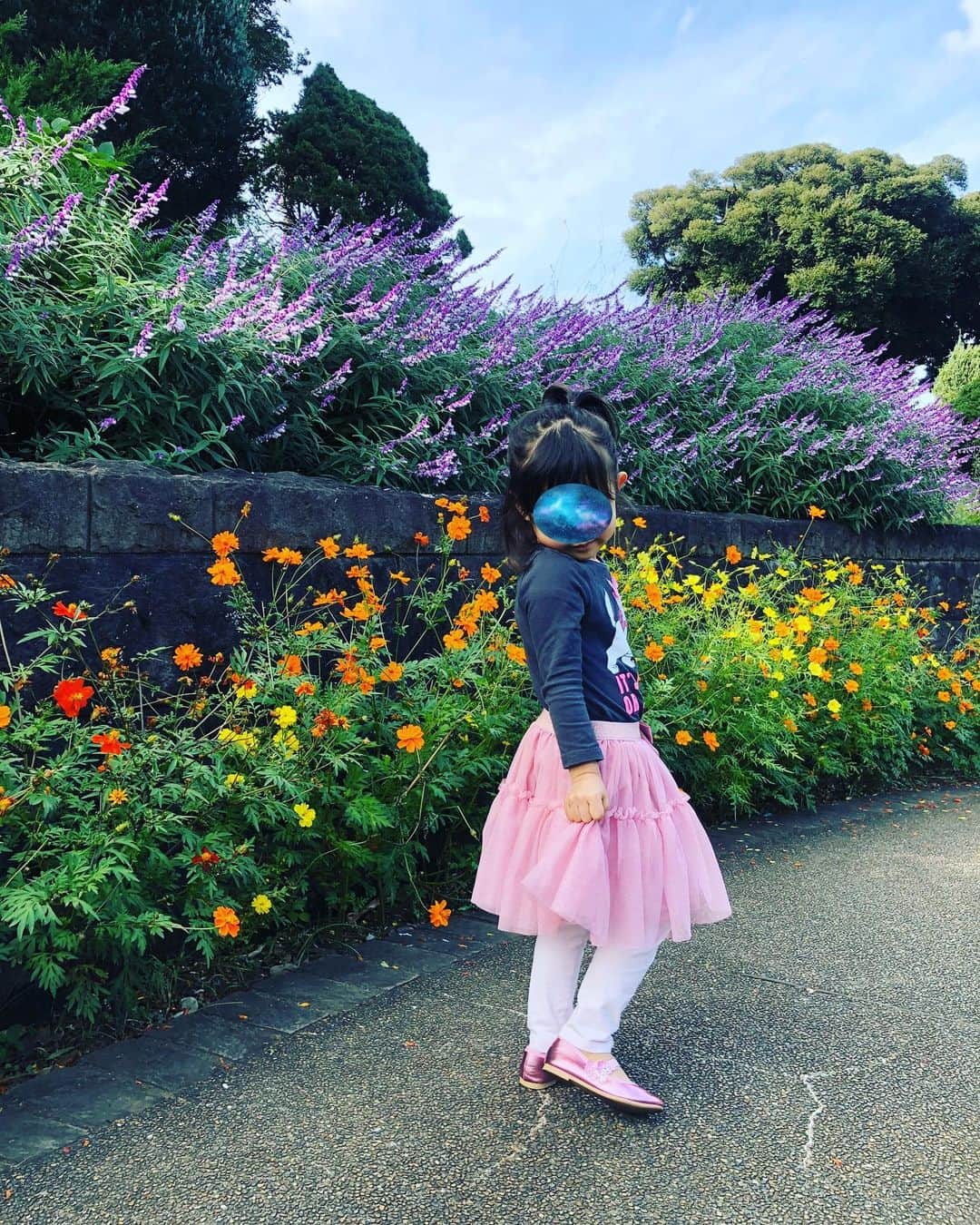 犬山紙子さんのインスタグラム写真 - (犬山紙子Instagram)「こっちは今日 港の見える丘公園のローズガーデン 薔薇の香りごとにブロック分けされていて最高でした……」11月1日 20時10分 - inuyamakamiko