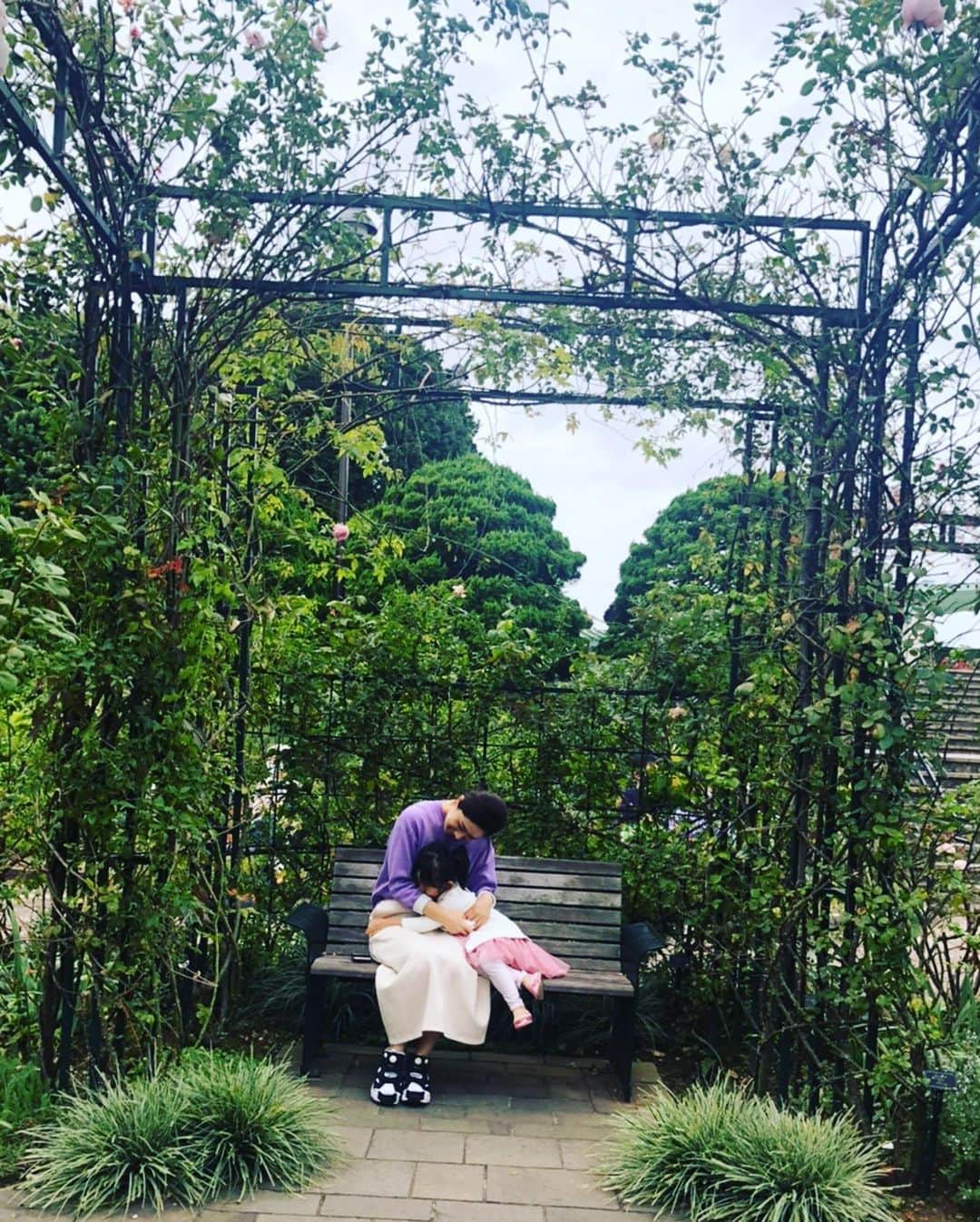 犬山紙子さんのインスタグラム写真 - (犬山紙子Instagram)「こっちは今日 港の見える丘公園のローズガーデン 薔薇の香りごとにブロック分けされていて最高でした……」11月1日 20時10分 - inuyamakamiko