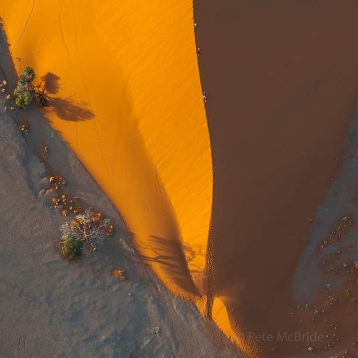 ナショナルジオグラフィックさんのインスタグラム写真 - (ナショナルジオグラフィックInstagram)「Photo by Pete McBride @pedromcbride / Visitors climb “Big Daddy,” the tallest dune in the Sossusvlei region of Namibia, at 325 meters. The Namib Desert aptly means “vast place” and covers three million hectares. Fog is the primary source of water in this UNESCO World Heritage Site, which supports a unique range of species that constantly adapt to microhabitats and ecological niches. To see more unique perspectives of remote places, follow @pedromcbride. #aerial #nature #desert #Namibia #Africa」11月1日 11時35分 - natgeo