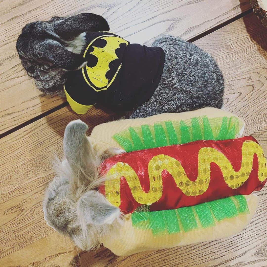 マライア・ベルさんのインスタグラム写真 - (マライア・ベルInstagram)「For Halloween this year Gizmo dressed as a scared Batman and Turbo a mad hotdog, enjoy! 😍🤣」11月1日 11時41分 - mariahsk8rbell
