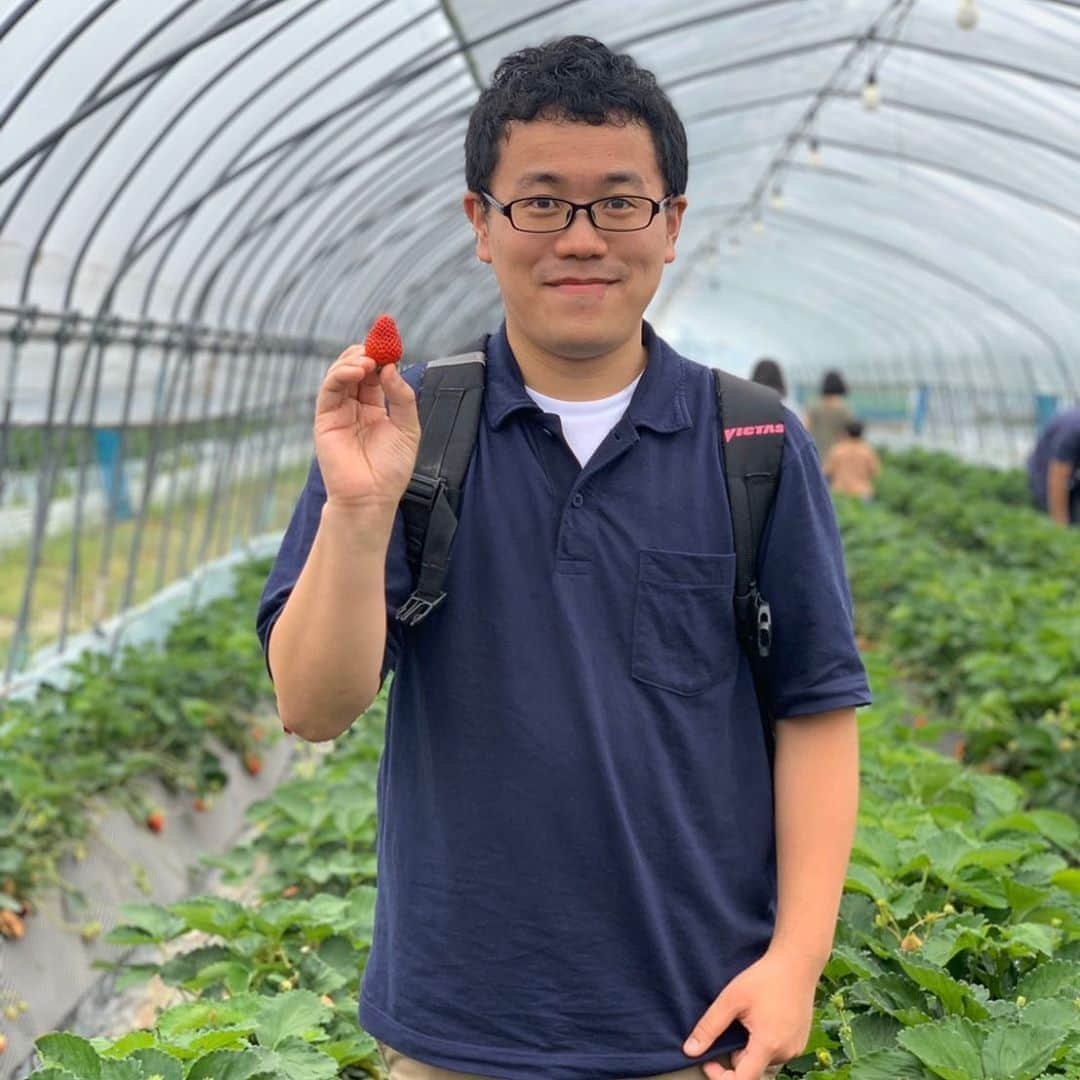 パーマ大佐さんのインスタグラム写真 - (パーマ大佐Instagram)「スーパーの野菜コーナーで見かける、 「私が作りました」 #パーマ大佐  #happyhalloween  #地味ハロウィン  #いるよね  #こういう  #苺農家さん  #大体美味しい」11月1日 11時59分 - pa_mataisa