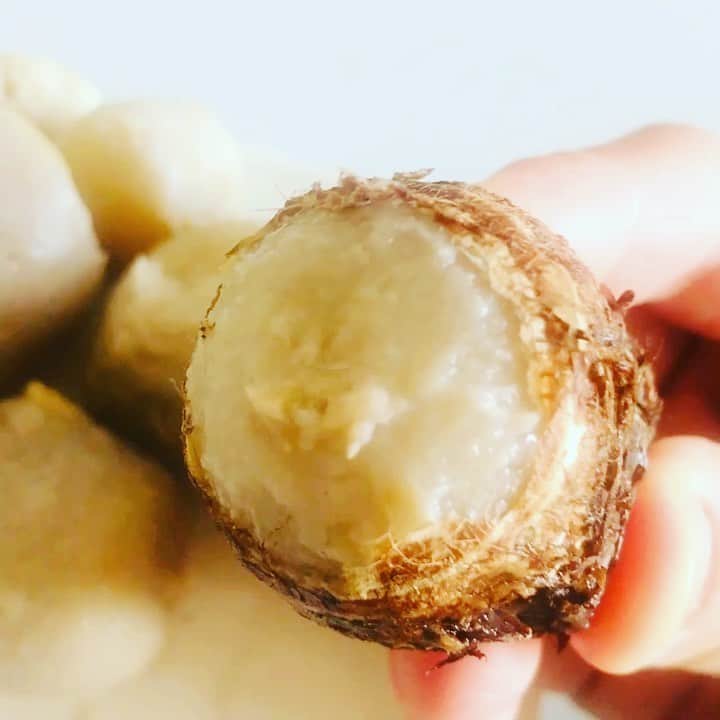 吉岡美穂のインスタグラム：「いただき物の里芋^ ^ メロディつけてみました😆 何作ろうかな💙」
