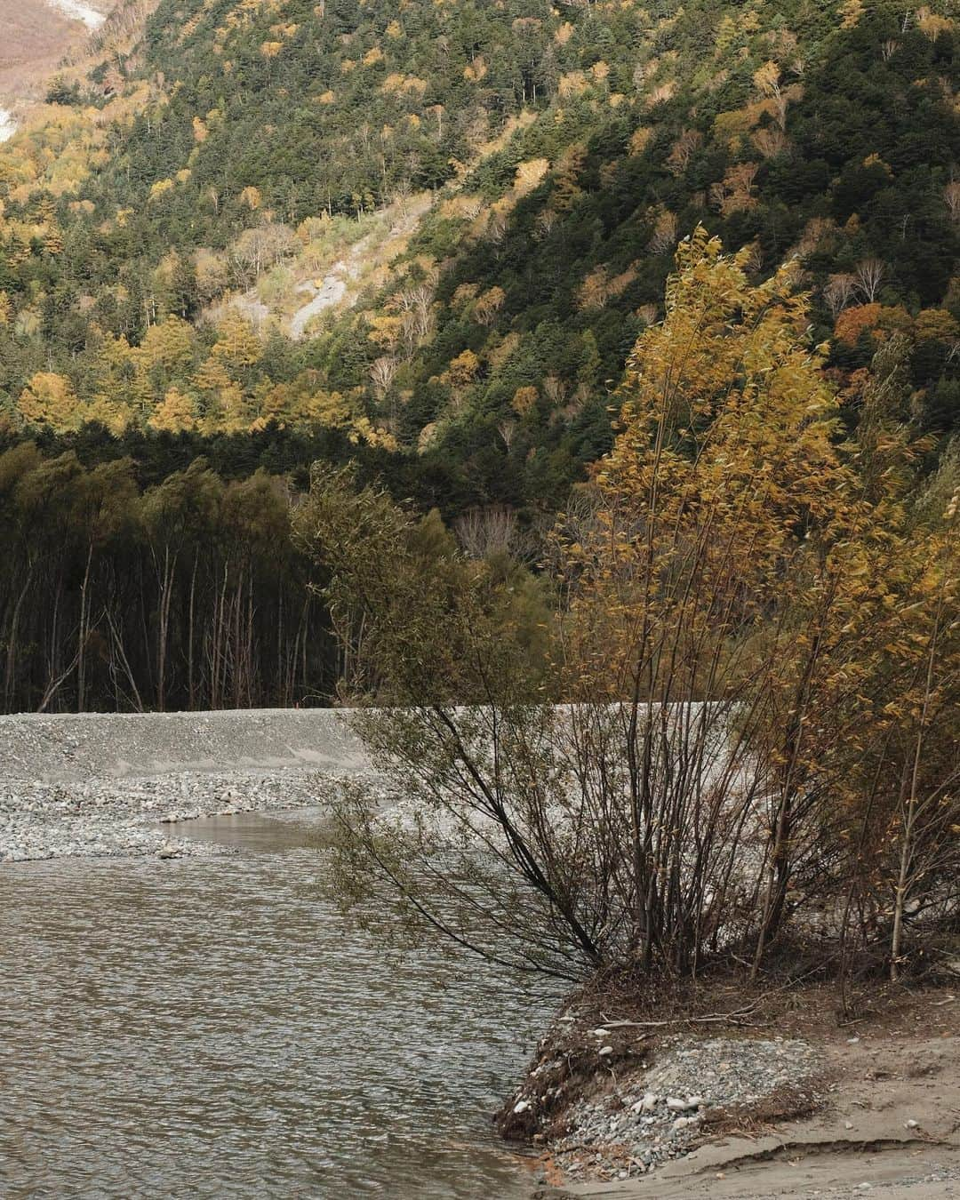 Veronica Halimさんのインスタグラム写真 - (Veronica HalimInstagram)「Last year today, hiking around the Kamikochi area. Missing the autumn crisp fresh air and the sound of nature that brings calmness in this beautiful place! — #nature #autumncolor #soundofnature #weekend #sunday #calmyourmind」11月1日 13時19分 - truffypi