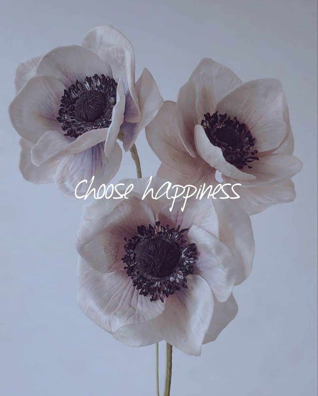 カロリーナさんのインスタグラム写真 - (カロリーナInstagram)「#pinterest #choosehappiness」11月1日 13時43分 - karolina0824
