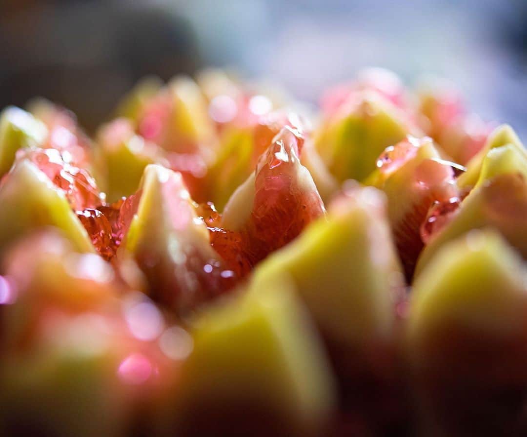 チョコレートカカオさんのインスタグラム写真 - (チョコレートカカオInstagram)「素材にも拘ってみました  Fig & Chocolate tart rose flavor イチジクのタルト 薔薇の香り  YouTube https://youtu.be/YLXPD3aXy58  #Youtube #asmrfood #foodie #instafood #dessertporn #スイーツ #yummy #recipe #cake #ケーキ #chocolate #タルトケーキ #tart #tarte #baker #fig #rose #rosa #イチジク #いちじく #イチジクタルト #figtart #foodography #dessertauxfruits #無花果 #ИНЖИР #foodiepics #薔薇 #バラ」11月1日 13時37分 - chocolate_cacao_seijin