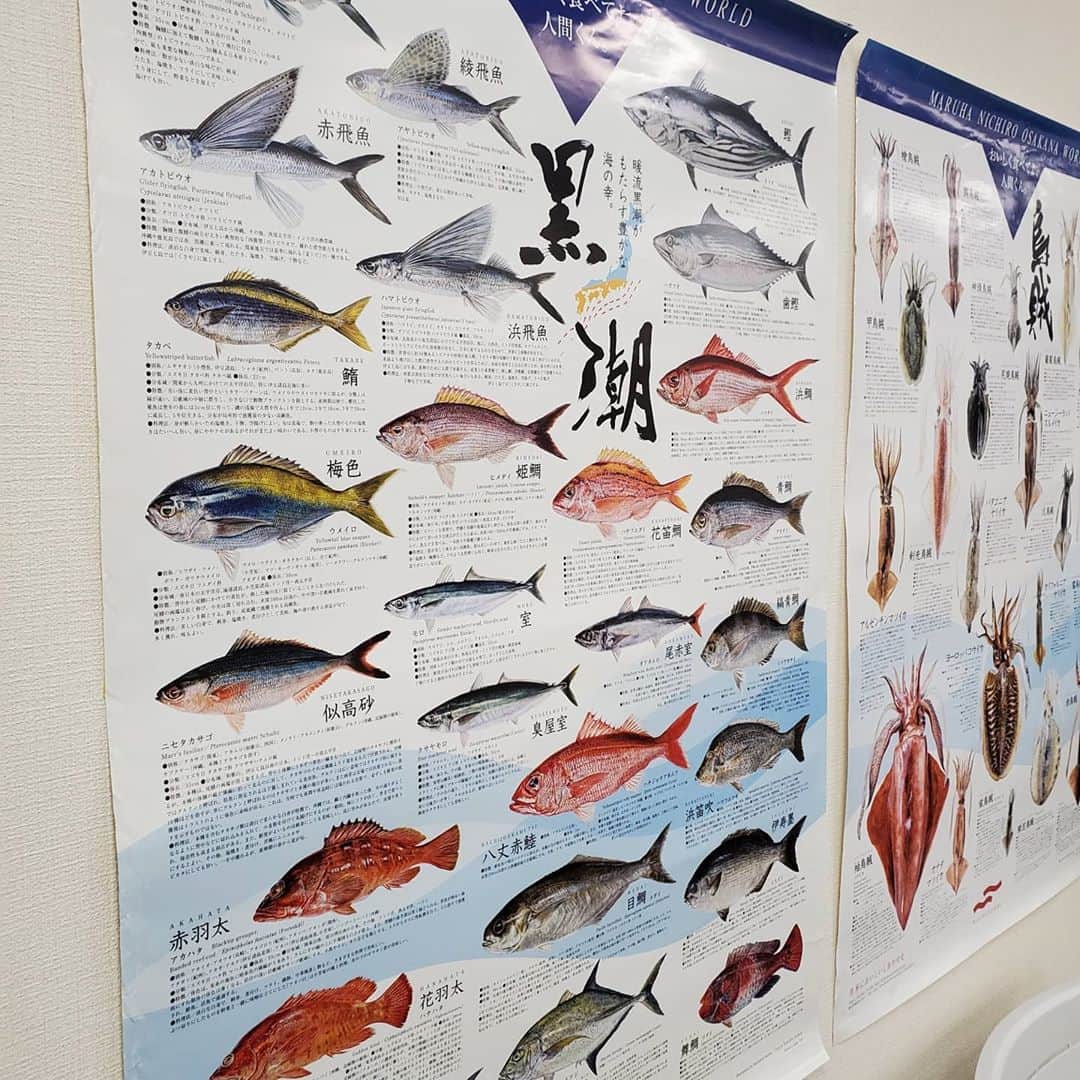 鈴木奈都さんのインスタグラム写真 - (鈴木奈都Instagram)「日本さかな検定１級終わった～🐟 バイト先のスーパーでさんざん詰めた馴染みのやつなのに、 分からない魚介問題があったのを深く反省しやす。。 また来年！笑  #ととけん」11月1日 13時47分 - suzukinatsu