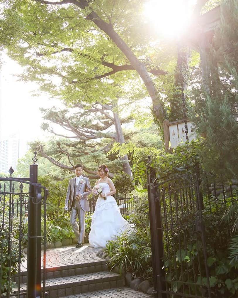 フェリーチェガーデン日比谷のグルメインスタ