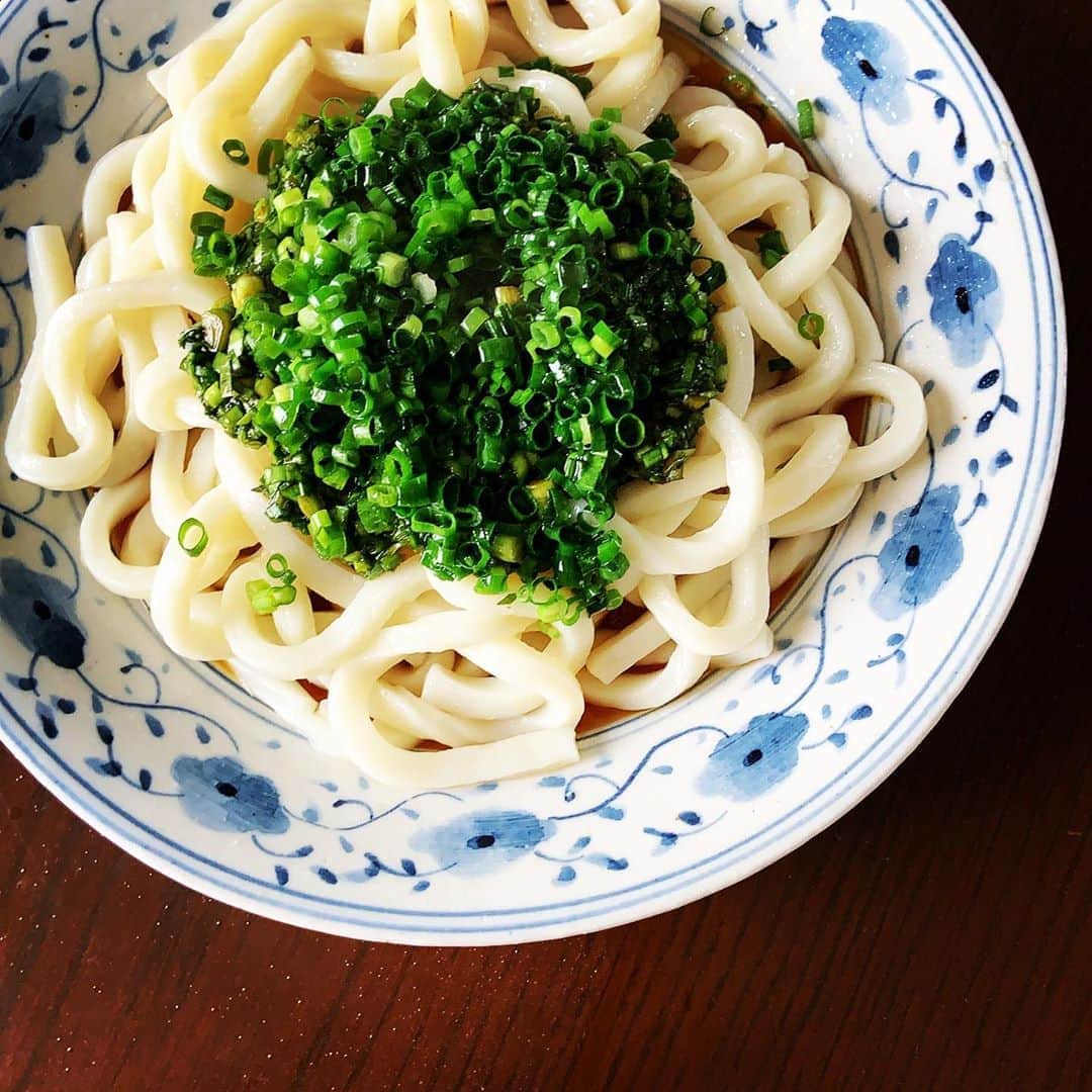 志摩有子さんのインスタグラム写真 - (志摩有子Instagram)「手抜きごはん。 作り置きのニラ醤油と刻んだ万能ネギを茹でたうどんにたっぷりのせて、カンカンに熱した胡麻油を回しかける。お酢をかけて一気にかっこむ。うまし。敦煌のニラうどんを自分流に解釈して。うどんは冷凍のものがモチモチして好み。  #ニラうどん #ニラ醤油」11月1日 13時56分 - ariko418